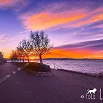 Adrian Apartman